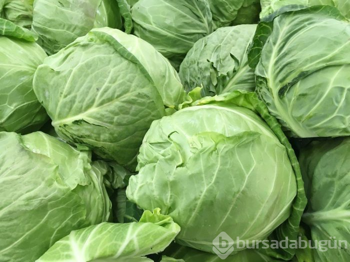 Kanseri azaltan sebzeler nelerdir?

