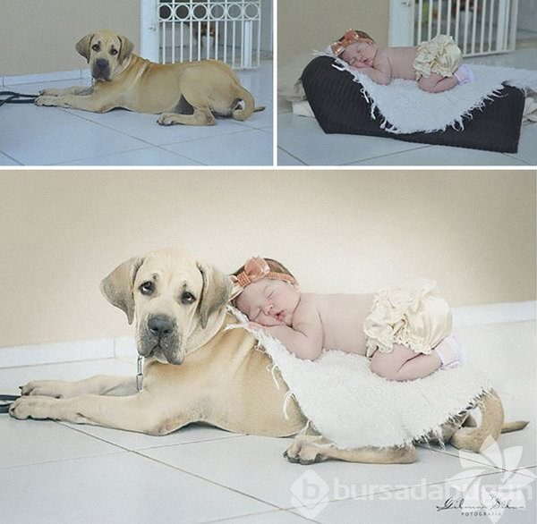 Muhteşem fotoğraflar işte böyle çekiliyor!
