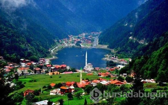 İşte il il yaşam süreleri! Bursa'da yaşam süresi ne?
