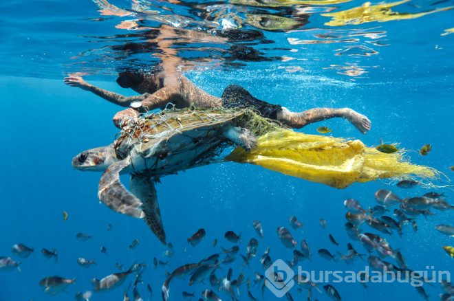 2018 Yılının en iyi çevre fotoğrafları seçildi!
