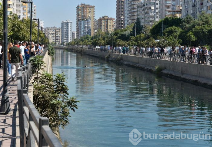 Adana'da otomobil sulama kanalına düştü
