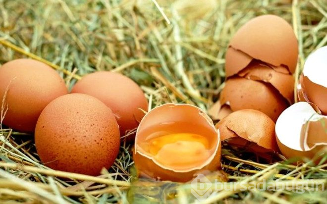 Zihni, hastalıklara karşı koruyan ve enerji sağlayan en sağlıklı on besin
