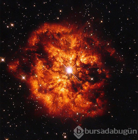 Dünya'yı gelecekte neler bekliyor neler?
