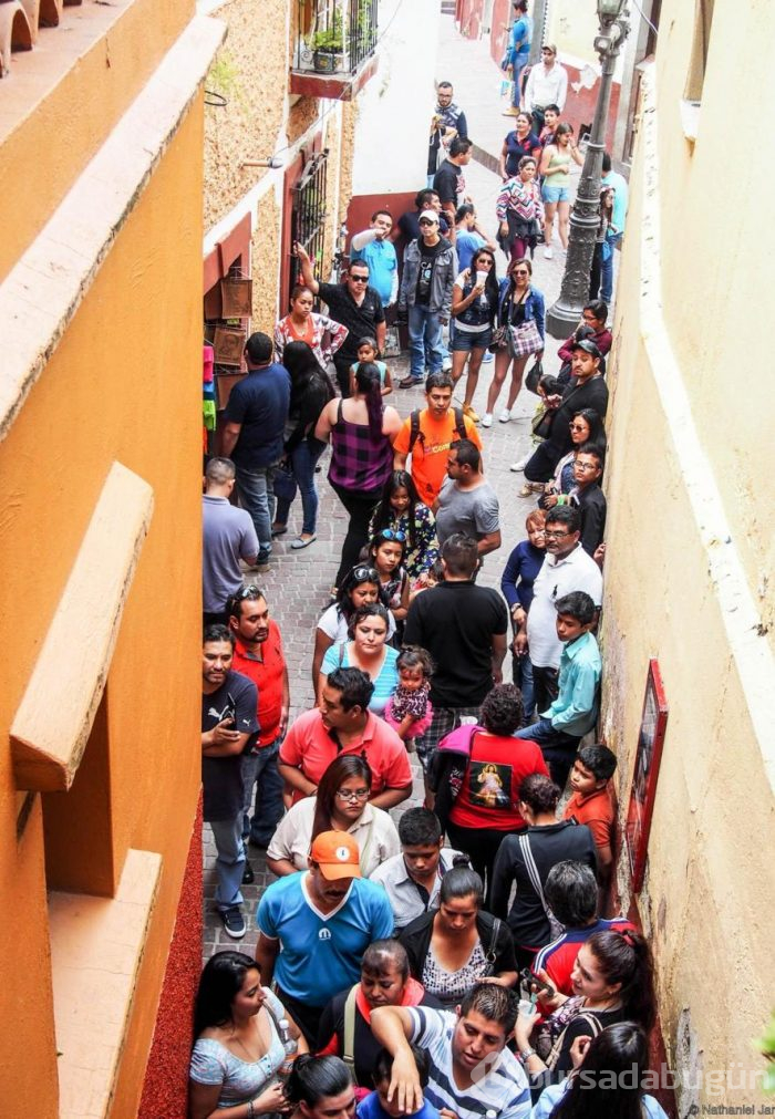 Orada öpüşmek için sıra bekliyorlar!