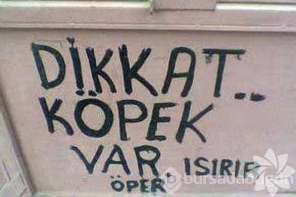 Bu ilanlar çok komik!
