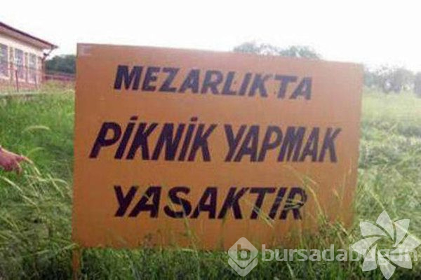 Bu ilanlar çok komik!

