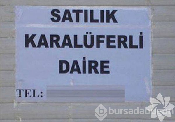 Bu ilanlar çok komik!
