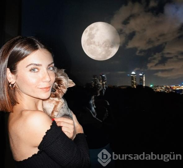 Fulya harikalar diyarında!
