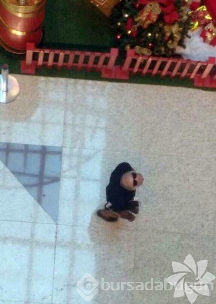 Anlamsız fotoğraflar
