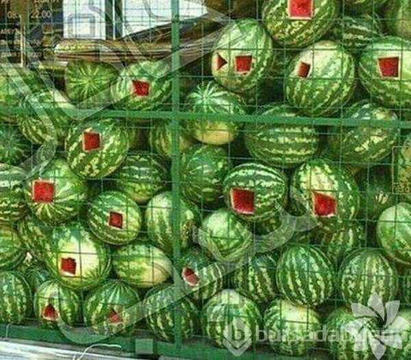 Anlamsız fotoğraflar
