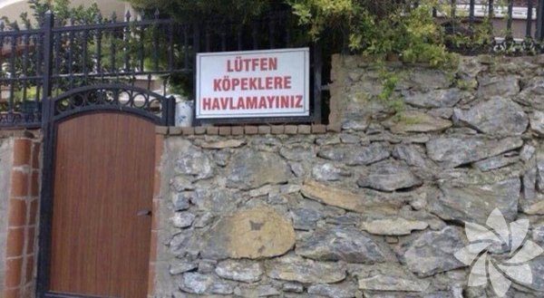 Anlamsız fotoğraflar
