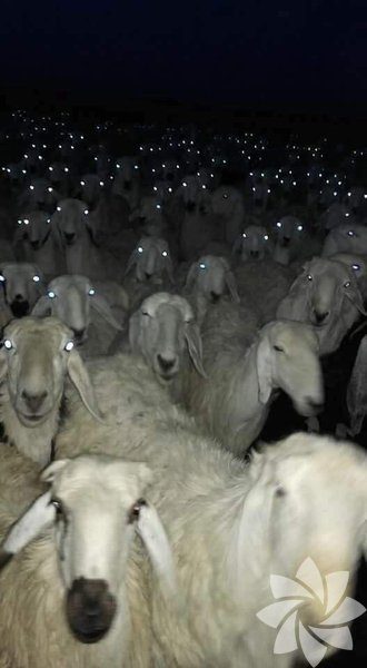 Anlamsız fotoğraflar
