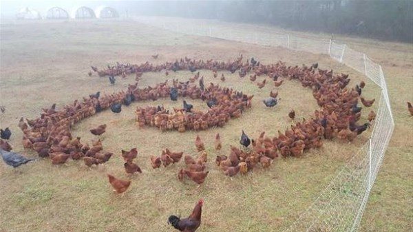 Dünyanın en korkunç anları
