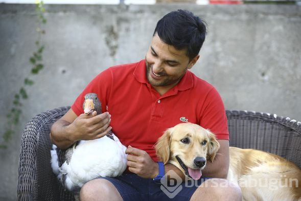 Sevimli köpek Dost ve kaz Zincir'in dostluğu görenleri büyülüyor
