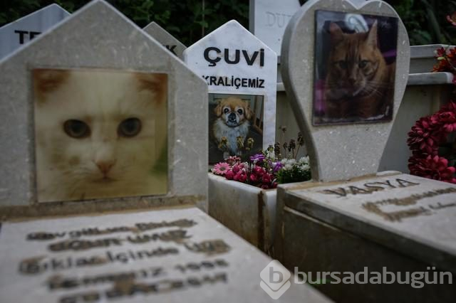 Can dostlarına son vefa
