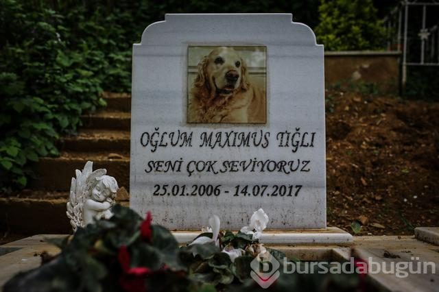 Can dostlarına son vefa
