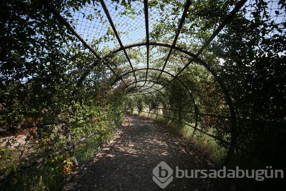 Bursa'da 3 köyde zamanda yolculuk
