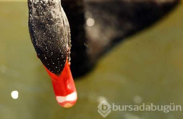 AKUT ve AFAD seferber olmuştu! Bu kez o ilde görüntülendi
