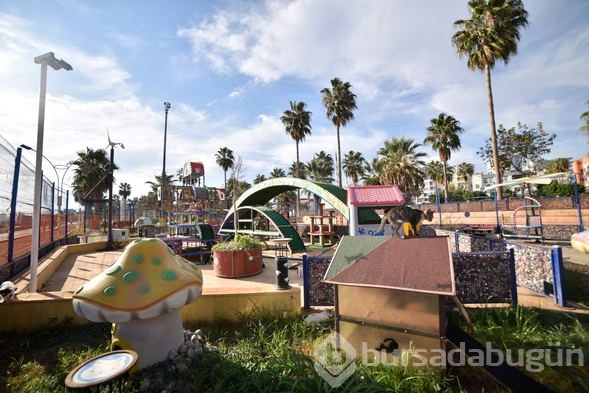 Kediler "Miyav Park"ı çok sevdi

