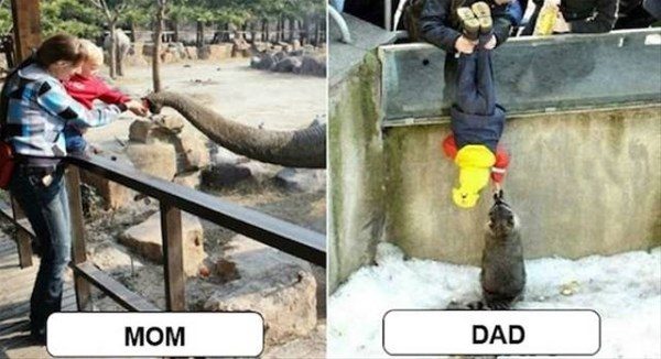 Anne ve baba arasındaki farklar
