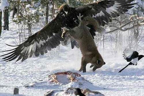 Şaşkına çeviren gerçek fotoğraflar
