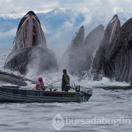Şaşkına çeviren gerçek fotoğraflar
