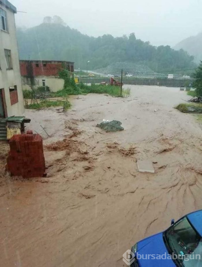 Doğu Karadeniz'de sağanak, sel ve heyelana yol açtı, yollar kapandı
