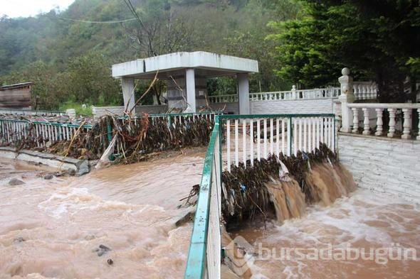 Doğu Karadeniz'de sağanak, sel ve heyelana yol açtı, yollar kapandı
