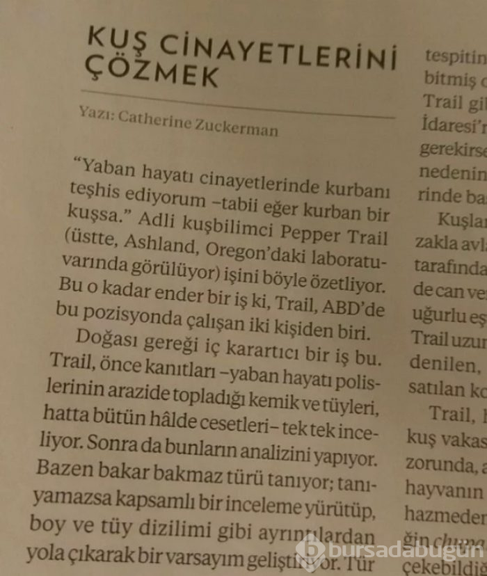 Böyle meslek mi olur? Hiç duymadığınız en enteresan 14 meslek grubu
