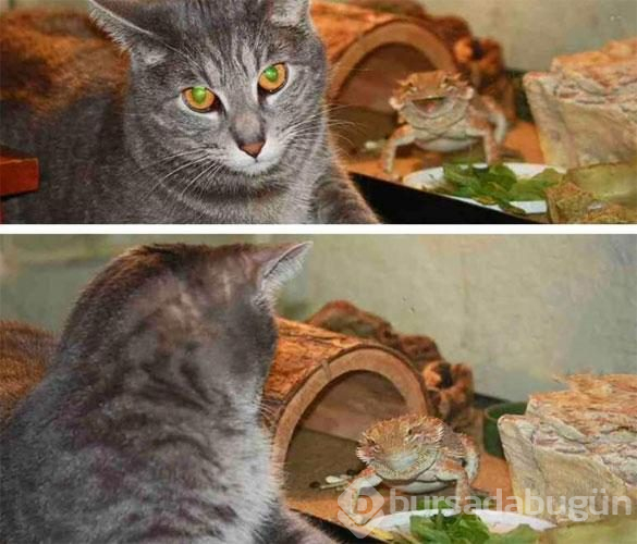 Arkalarında olanlardan habersiz