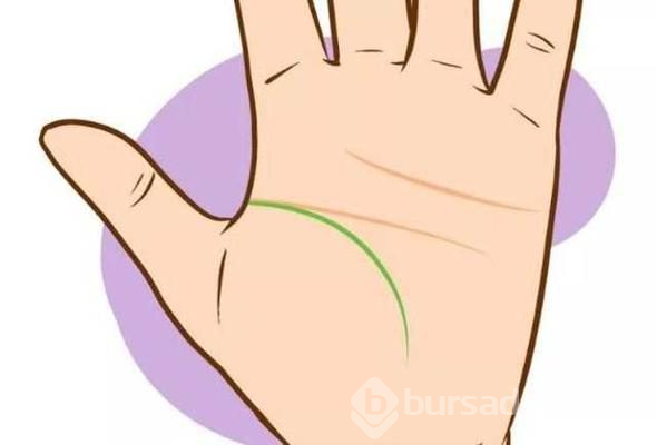 Avucunuzdaki çizgilerin ne anlama geldiğini biliyor musunuz?