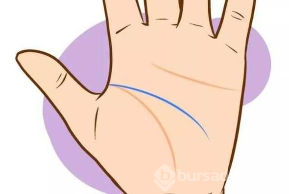 Avucunuzdaki çizgilerin ne anlama geldiğini biliyor musunuz?