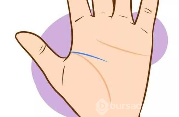 Avucunuzdaki çizgilerin ne anlama geldiğini biliyor musunuz?