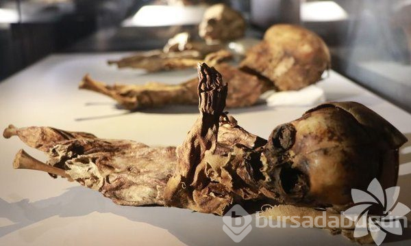Aksaray'daki mumya müzesi
