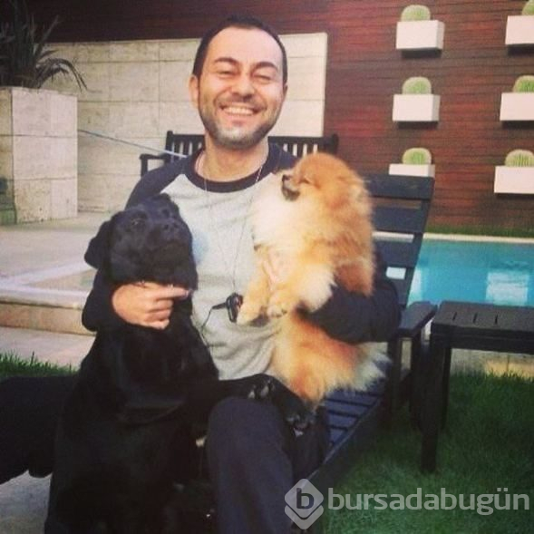 Ünlülerin hayvanları
