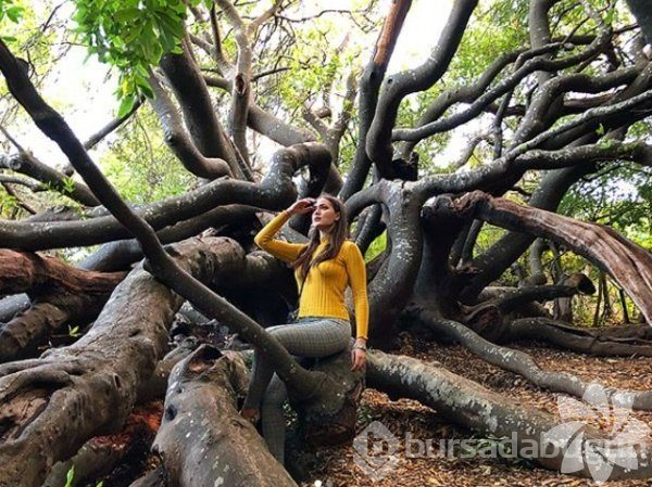 Fahriye Evcen Instagram'da neler paylaşıyor?
