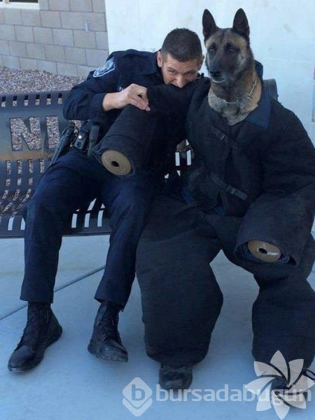 Dünya tersine döndü!
