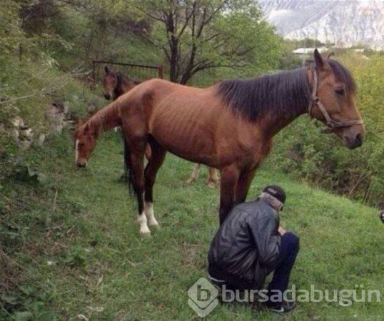 Anlamak için 2 kere bakın
