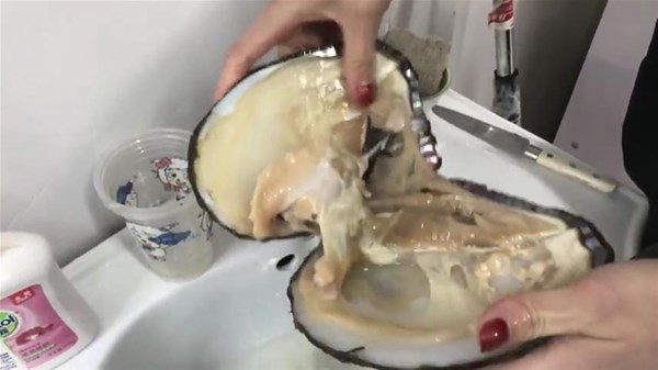 İçinden çıkanlar şoke etti
