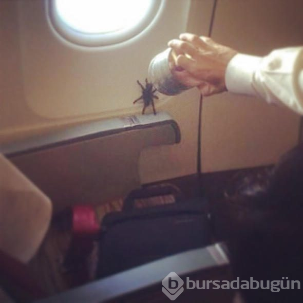 Dünyanın en rahatsız edici uçak yolculukları
