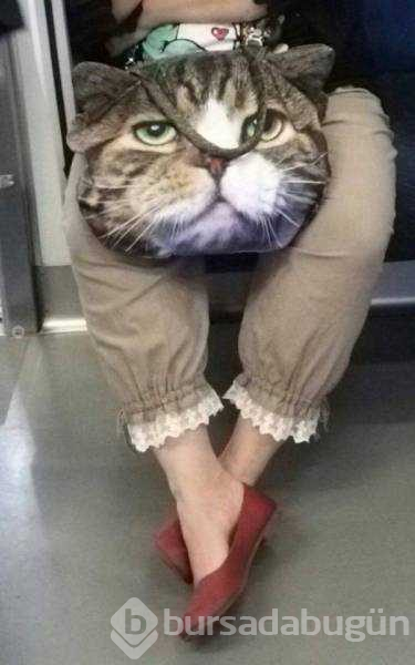 Dünyanın en ilginç metro yolcuları
