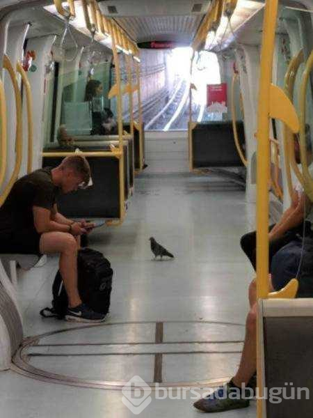 Dünyanın en ilginç metro yolcuları
