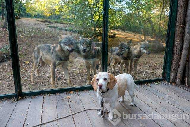Günün en çok paylaşılan fotoğrafları

