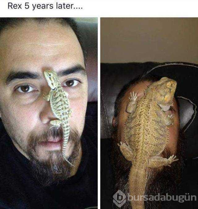 Günün en çok paylaşılan fotoğrafları
