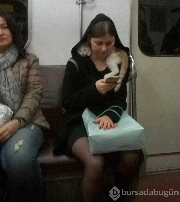 Günün en çok paylaşılan fotoğrafları
