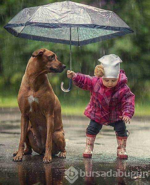 Günün en çok paylaşılan fotoğrafları
