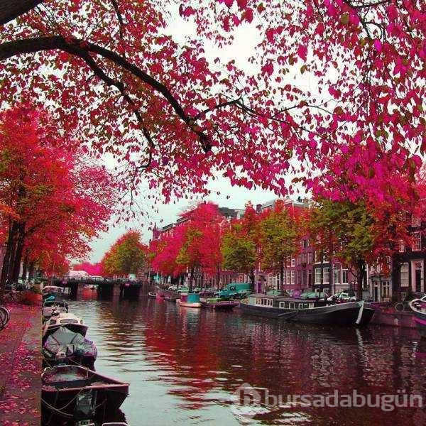 Günün en çok paylaşılan fotoğrafları
