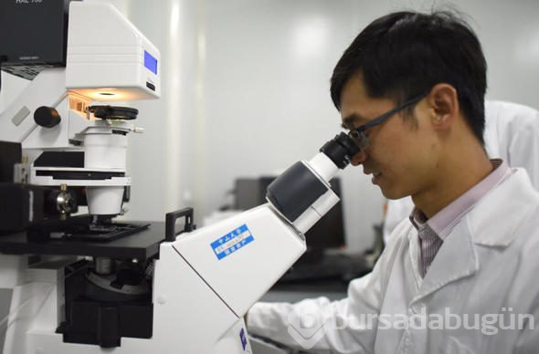 Çinli bilim insanlarından inanılmaz 'keşif'
