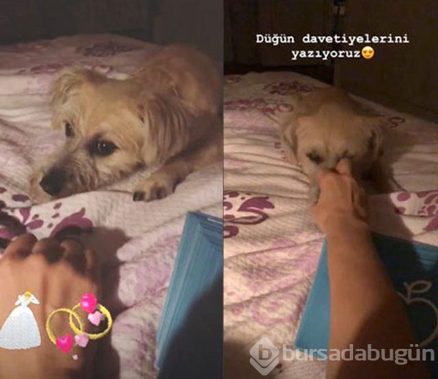 Ezgi Mola'dan evlilik açıklaması
