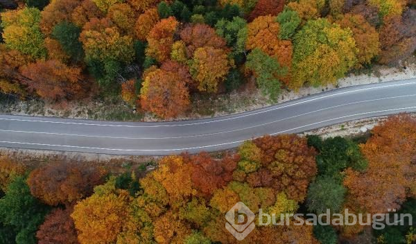 Bursa Uludağ'da kartpostallık görüntüler	